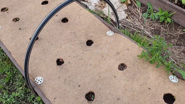 Мульчирование Почвы! Зачем нужна Мульча: виды и применения! смотреть онлайн