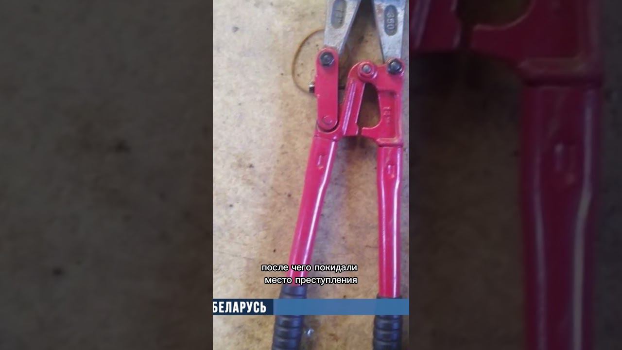 Похитители грузов из фур задержаны на Гомельщине смотреть онлайн