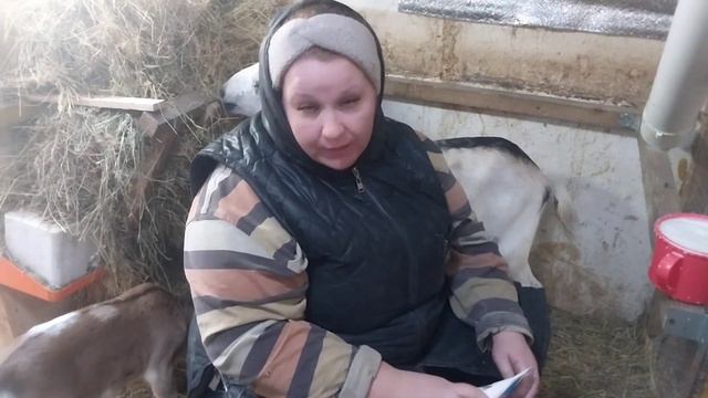 Завершила забой индюков? Дядя Николай в помощь по хозяйству? смотреть онлайн