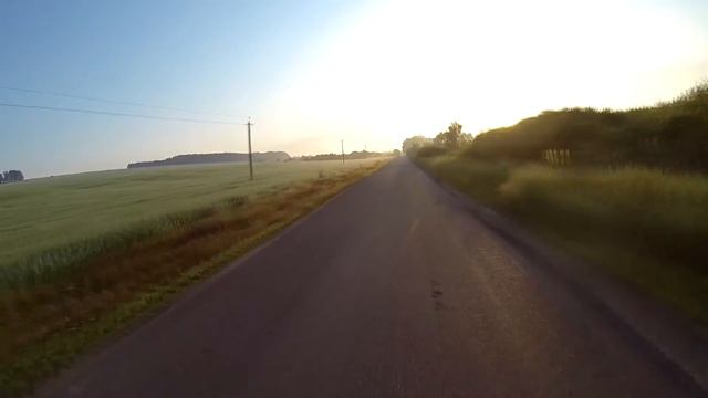 Норка и её детёныши смотреть онлайн