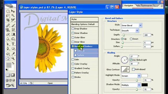 Adobe Photoshop Malayalam Tutorial Chapter 10 смотреть онлайн