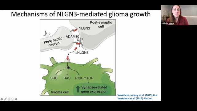 Cancer Neuroscience HD/MA: Roadmap for the Field of Cancer Neuroscience - Michelle Monje смотреть онлайн