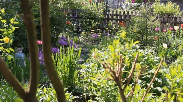 Жінки, які заквітчують Луцьк