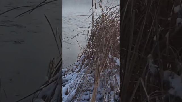 Норка День 3 смотреть онлайн