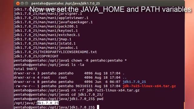 Tutorial 1 - Howto manually install Oracle Java on Ubuntu смотреть онлайн