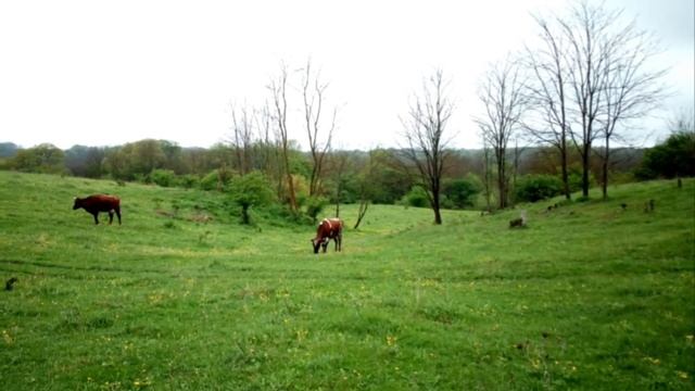 Я хочу вернуться в детство...автор неизвестен. смотреть онлайн