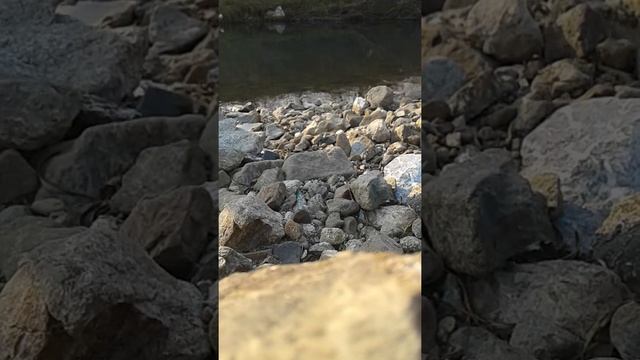 Рыбалка в Екатериновке. смотреть онлайн