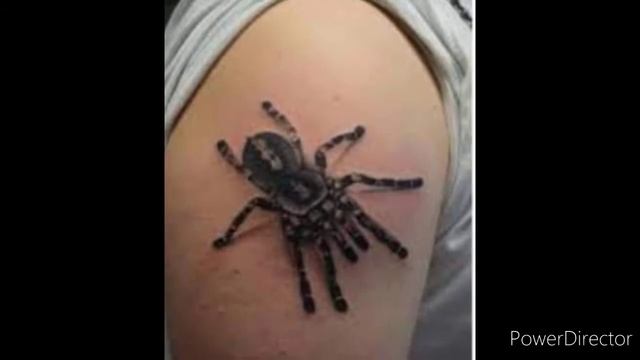 30 TARANTULA Tattoos Designs For Men