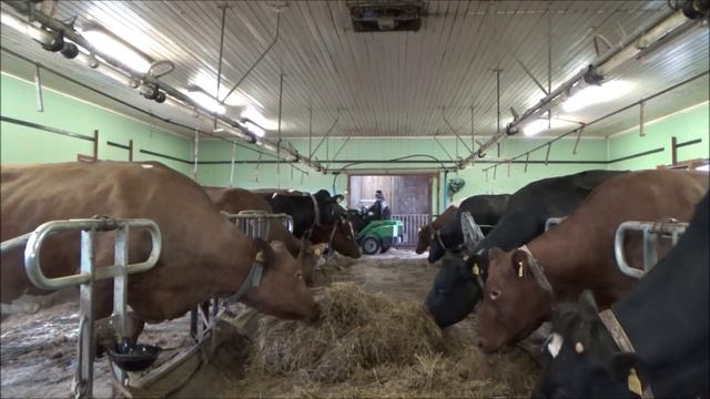 Arctic farm office смотреть онлайн