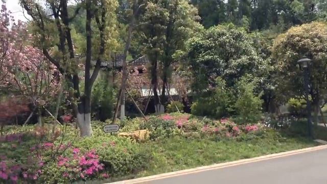Downtown Chenzhou #2 - Beihu Park & Lake смотреть онлайн