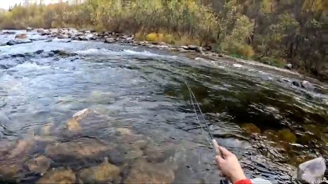 Поход с ребёнком на Казыр | Ловим хариуса смотреть онлайн