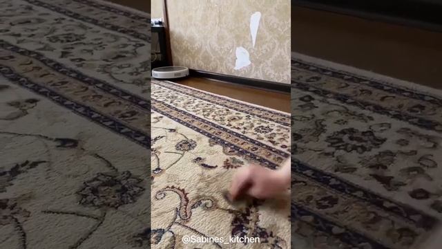 ? Как избавиться от "Лизуна" на ковре ? смотреть онлайн