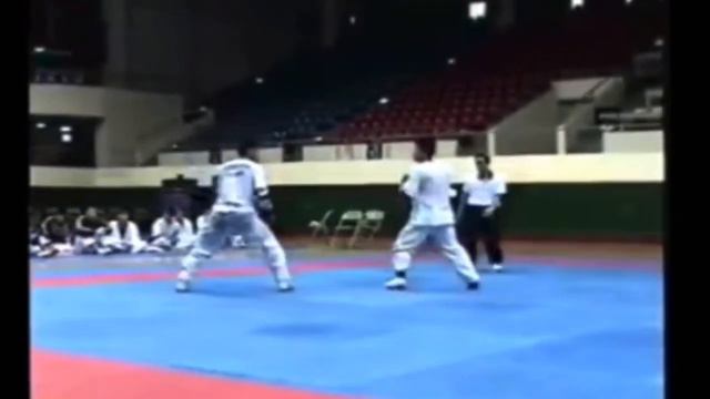 Hadi Saei Sparring In Korea In 1998