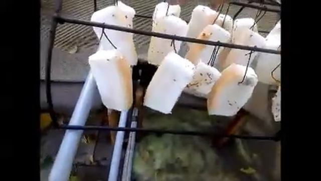 Три в одном из старого газового баллона горячее копчение смотреть онлайн