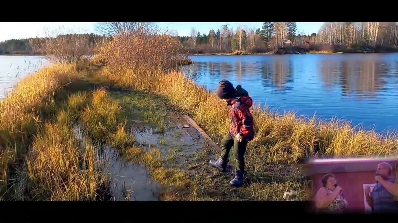 Старый клен смотреть онлайн