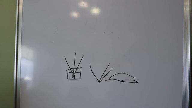 УРОКИ по обрезке. Урок1. Обрезка и формировка инжира. смотреть онлайн