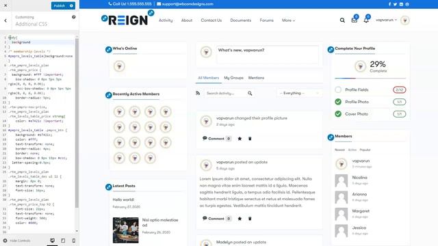 How to Add Additional CSS? Reign BuddyPress Theme смотреть онлайн