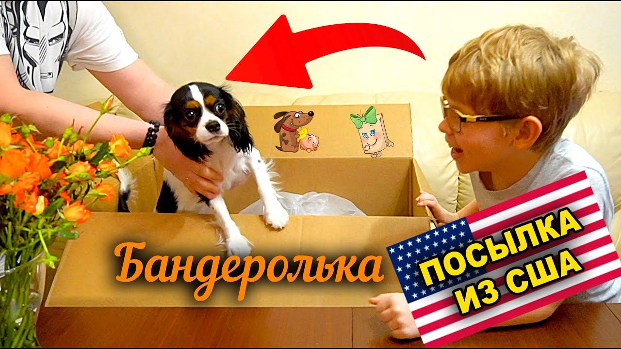 ЧТО В КОРОБКЕ Бандеролька посылки из США в 2024 ч1 смотреть онлайн