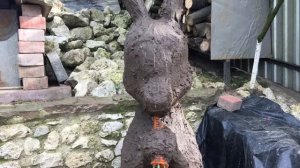 Создание топиари своими руками. Фигура зайчика.