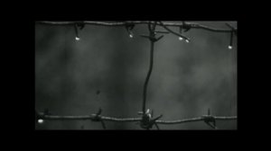 Алексей Стёпин - Шпанцири (clip, live) #пацан #голуби