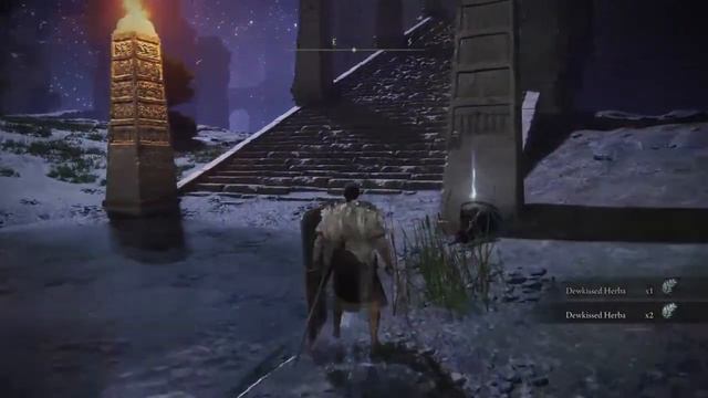 The Well : Elden Ring