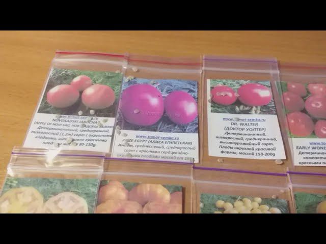 Розы, говорите?).. А томаты не хотите?! смотреть онлайн