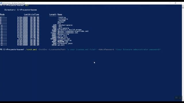 Getting started with Sitecore 10 Headless Development, ASP.NET Core & Docker containers смотреть онлайн