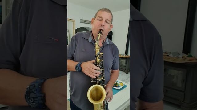 Dance me to the end of love - saxophone alt cover смотреть онлайн