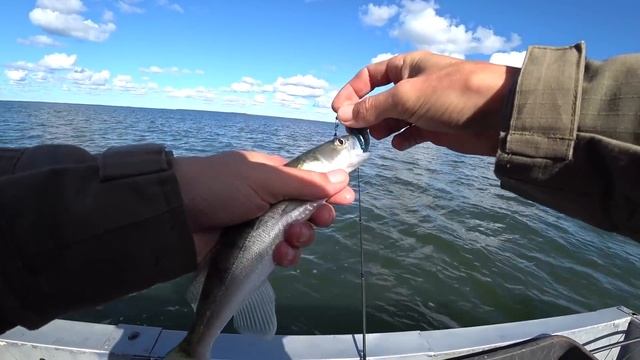 НУ И РЫБАЛКА...! Экстремальная рыбалка! Рыбалка осенью на спиннинг. смотреть онлайн