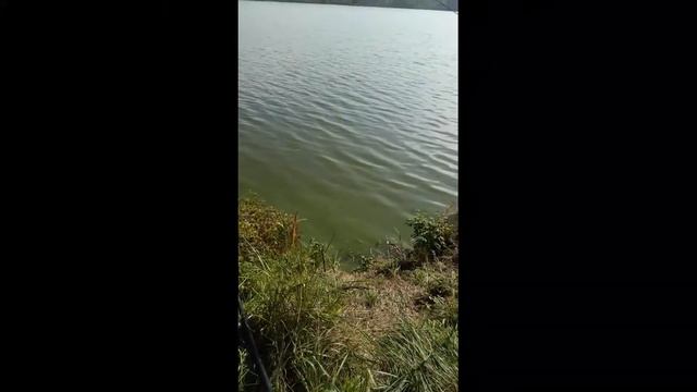 рыбалка на фидер оптима 3,30. незабываемое удовольствие. смотреть онлайн