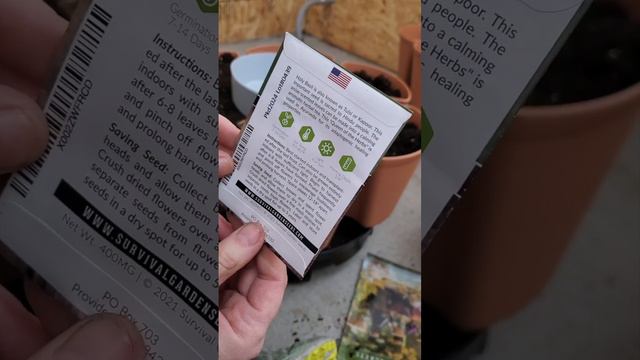 Planting Holy Basil Seeds смотреть онлайн