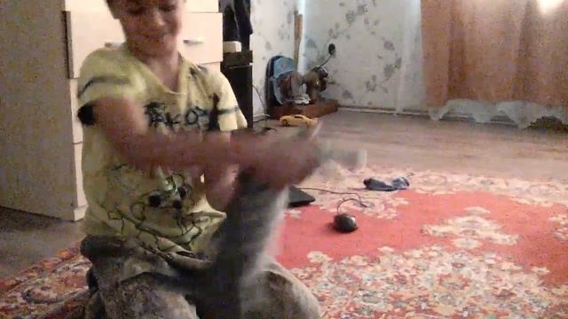 Бешеная. Кошка смотреть онлайн