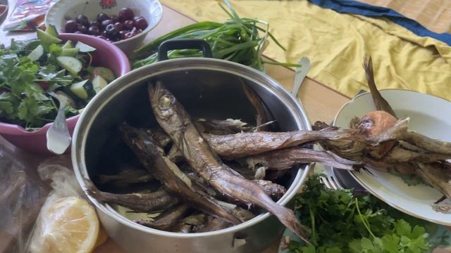 Дача 23 июня 2021 год смотреть онлайн