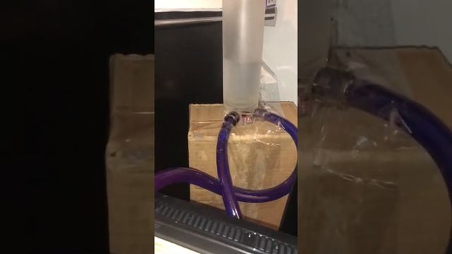 Bleeding node 202 смотреть онлайн