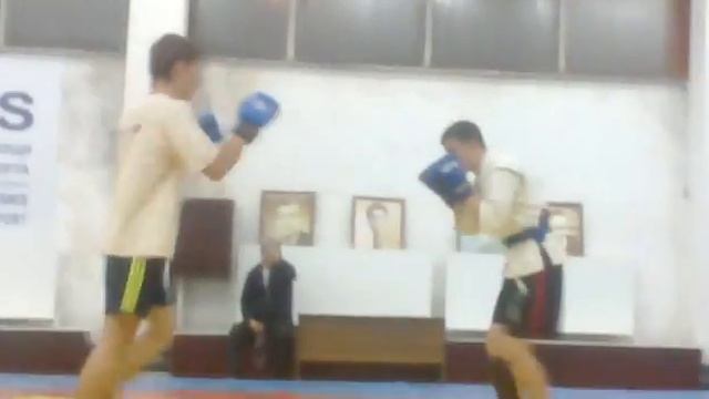 Combat Sambo Olimpia смотреть онлайн