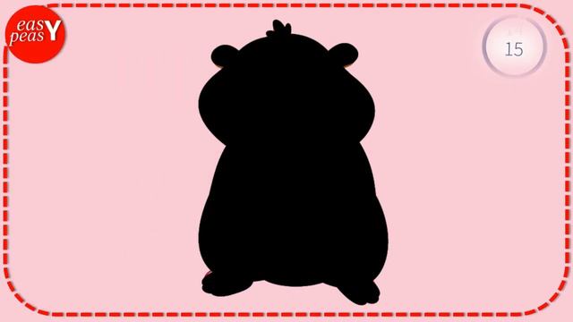 Pet Vocabulary In English