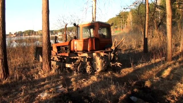 Бердская лесная дача смотреть онлайн