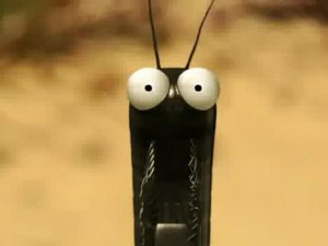 Мелюзга. 14. Жестокий мир