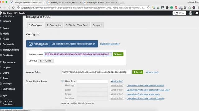 How to Add Instagram Feed to Wordpress Website (Hindi) смотреть онлайн