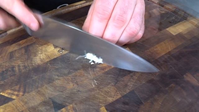 ЧТО СЪЕСТЬ ЧТОБЫ ПОХУДЕТЬ!? САЛАТ ИЗ НУТА С АВОКАДО! смотреть онлайн