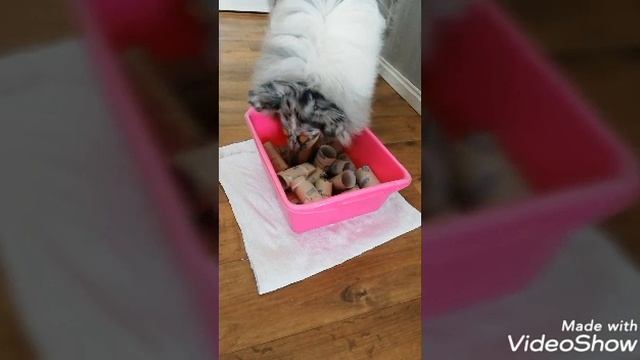 Snuffle game смотреть онлайн