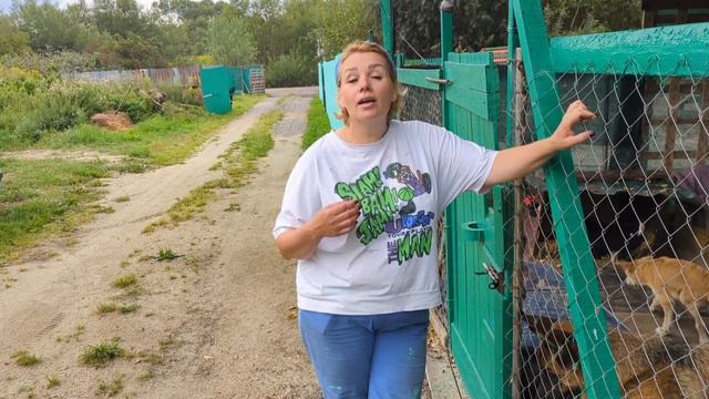 Про Цезаря, море и отдых смотреть онлайн