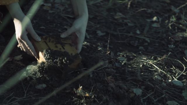 Lotus Sun - Sweet Shannon EP - Trailer (LONG - 4K) смотреть онлайн