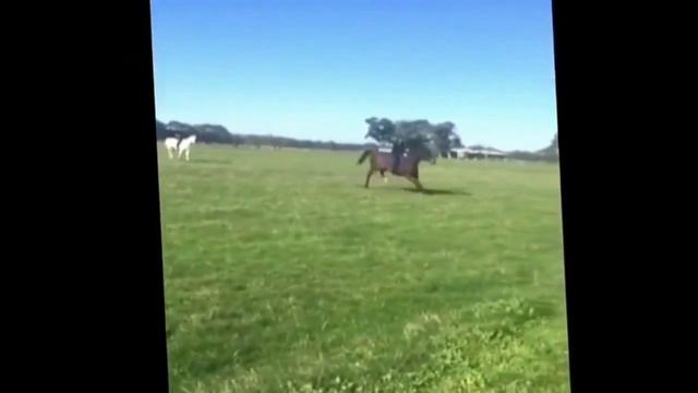 Девушка послала коня а он её смотреть онлайн