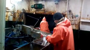 лов трески на ярусе