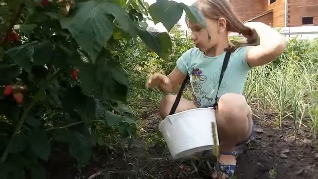 Ульяна расскажет как растет малина! смотреть онлайн