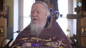 Протоиерей Димитрий Смирнов. Проповедь о чуде преображения через служение ближнему