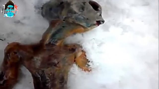 Top 5 Seres Extraños - Serán Verdaderos?  ▶