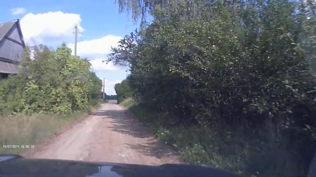 Куропатки на дороге смотреть онлайн