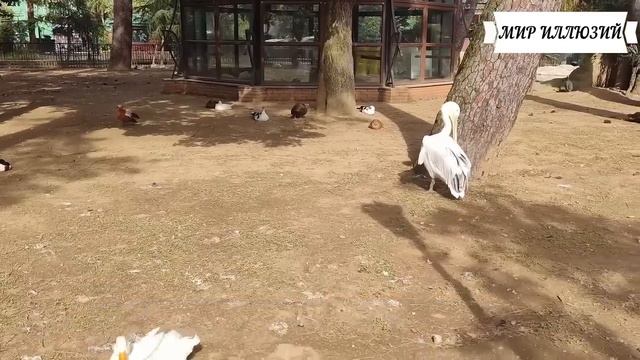 «Да ты в ножки должна мне падать!» - заявил миллионер, не подозревая, какая расплата за слова его.. смотреть онлайн
